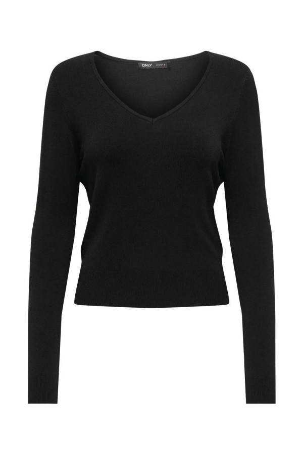 JERSEY ONLY VENICE LIFE LS V