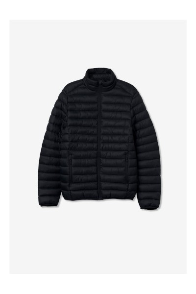 CHAQUETA TIFFOSI KORO H