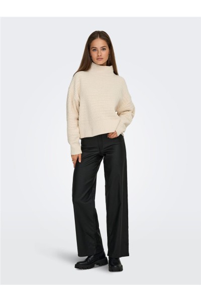 JERSEY ONLGLOBE LS HIGHNECK