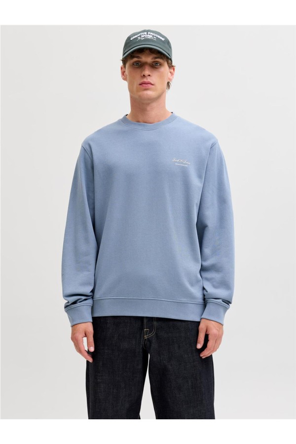 Sudadera Jack & Jones earchive graphic