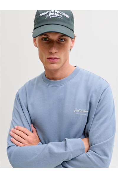 Sudadera Jack & Jones earchive graphic