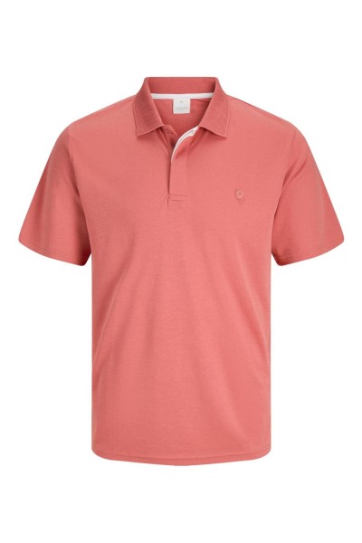JPRCCRODNEY SS POLO