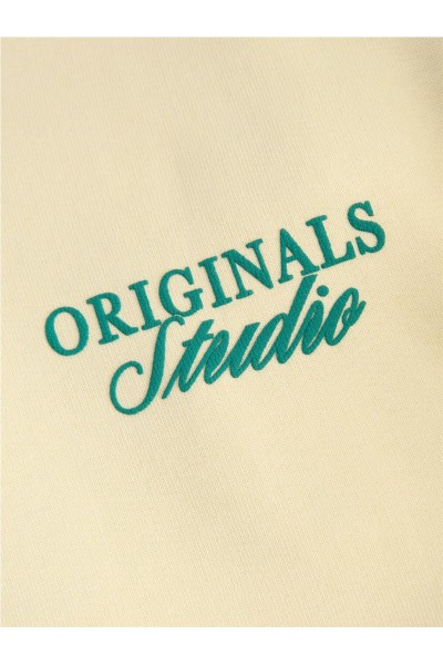 Sudadera Jack & Jones Norrebro con capucha