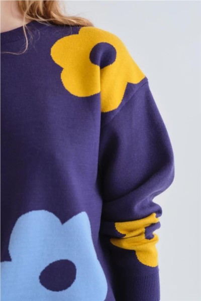 Jersey Compañía Fantástica con estampado Euphonia